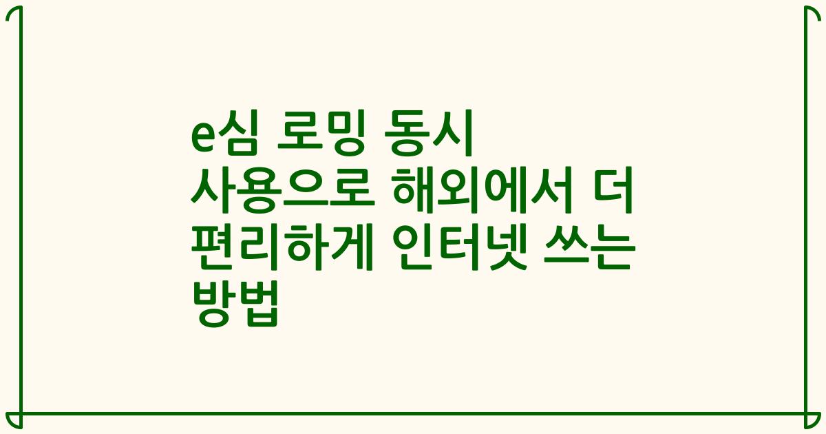 e심 로밍 동시 사용으로 해외에서 더 편리하게 인터넷 쓰는 방법
