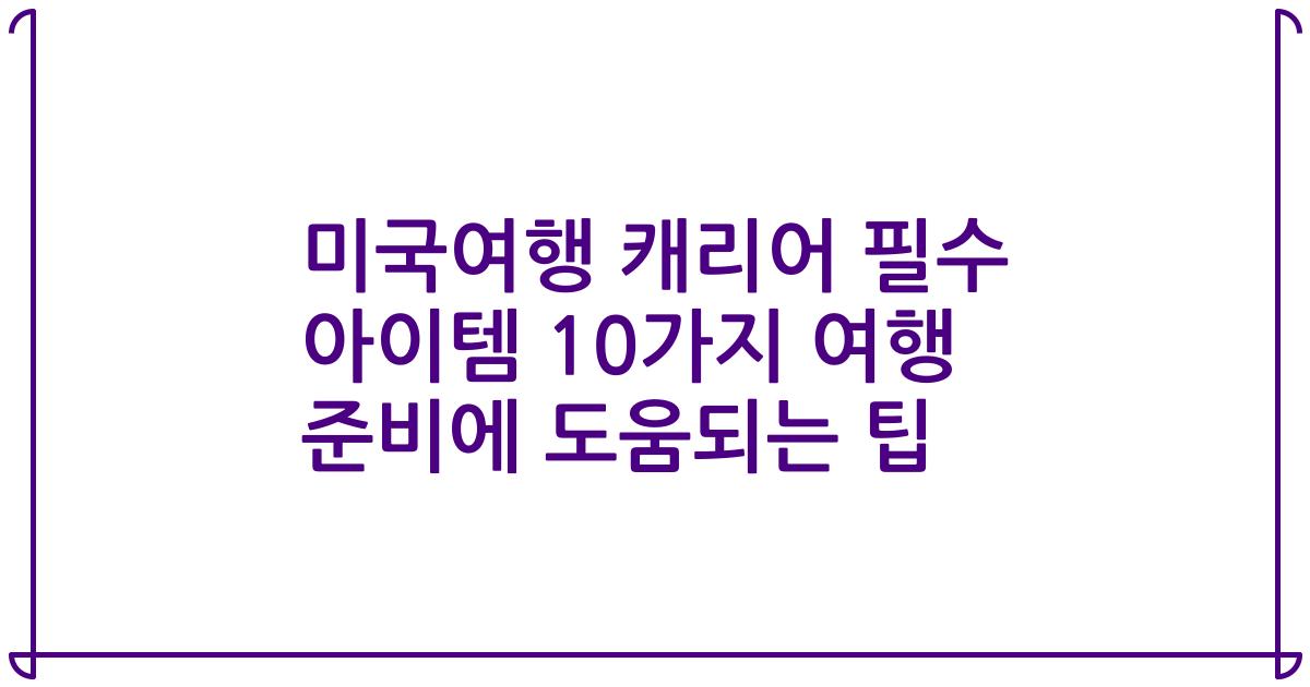 미국여행 캐리어 필수 아이템 10가지 여행 준비에 도움되는 팁