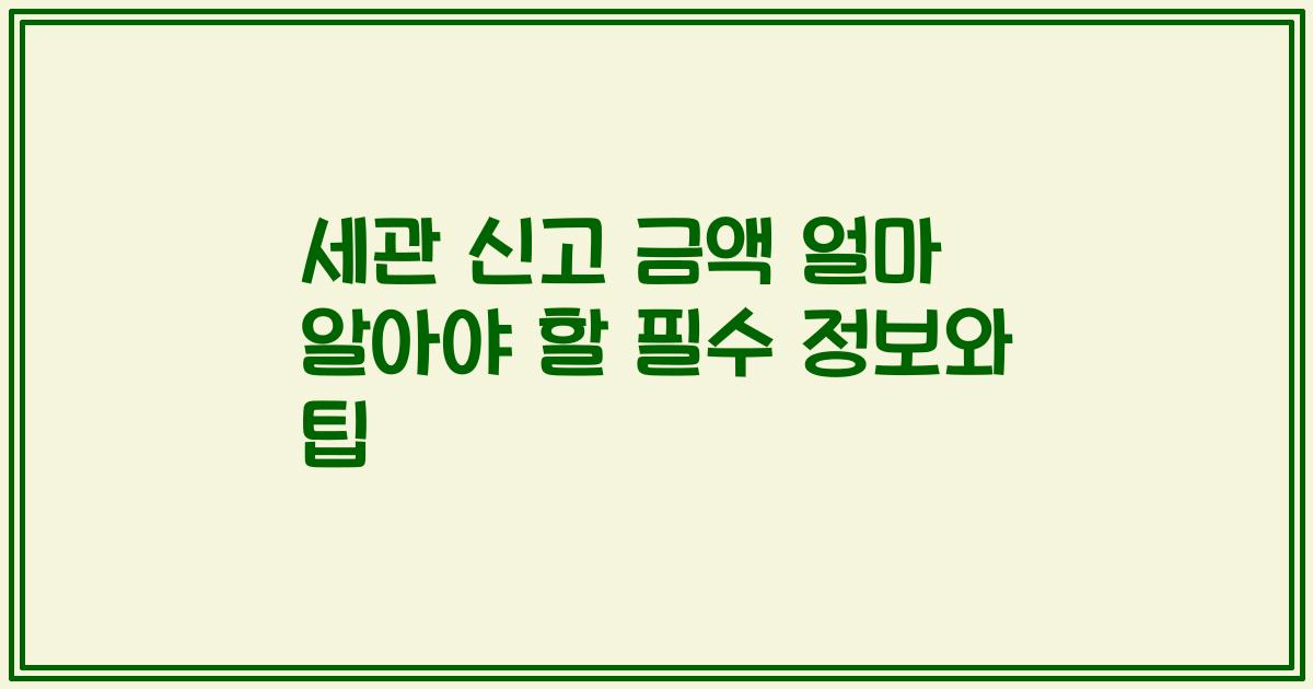 세관 신고 금액 얼마 알아야 할 필수 정보와 팁